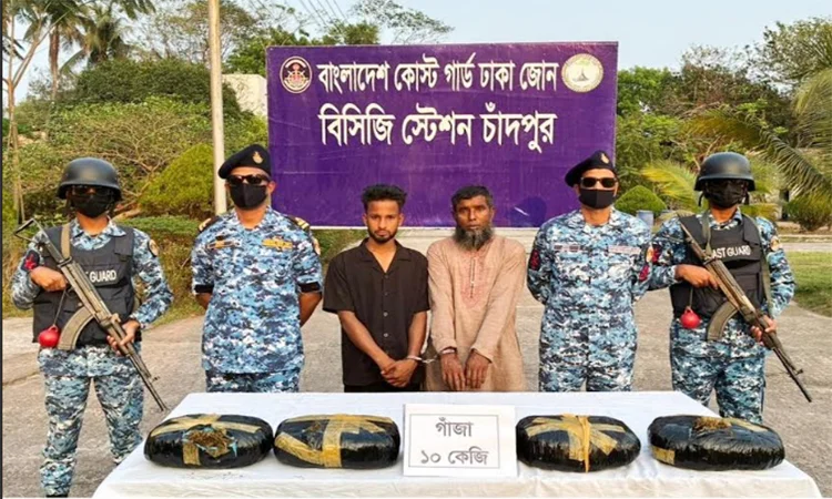 চাঁদপুরে গাঁজাসহ দুই কারবারিকে আটক করেছে কোস্টগার্ড
